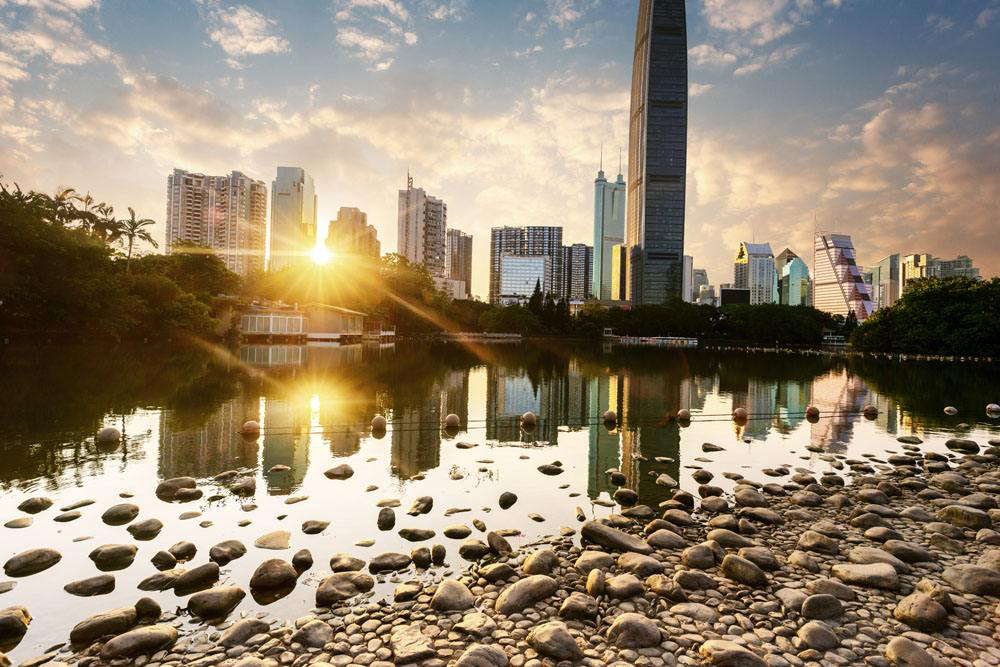 深圳代理记账报税！