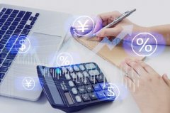  2、公司发生大额咨询费支出